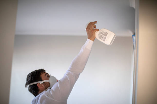 Best Emergency Mold Remediation in Port Edwards, WI